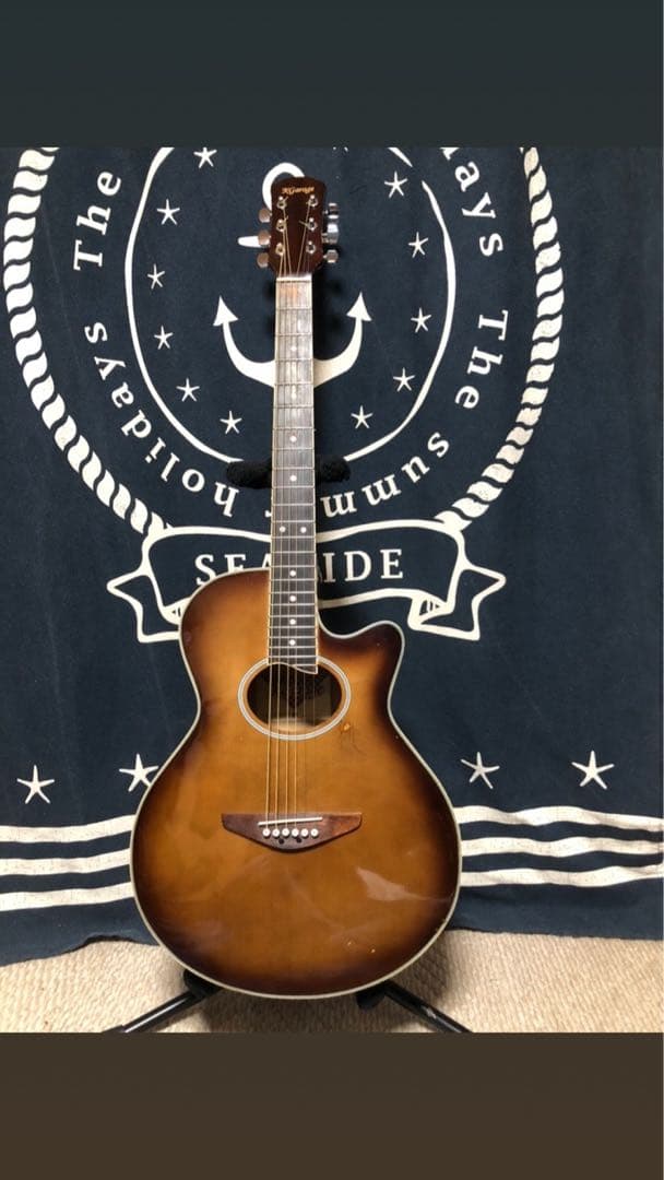 新春特価品‼️初心者の方❣️K galley EA-200 エレアコ 備品セット