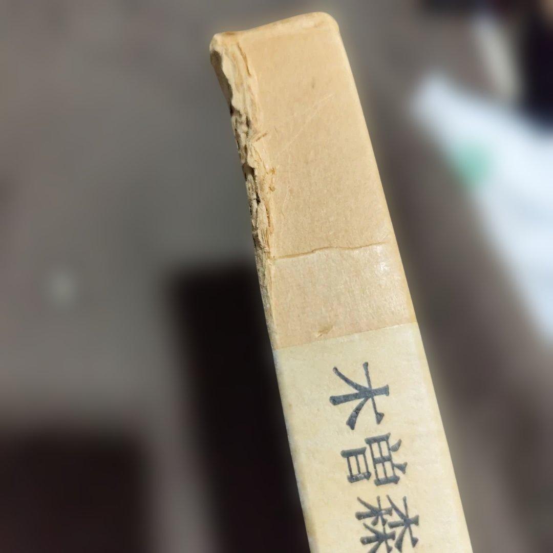 木曽森林鉄道　プレスアイゼンバーン