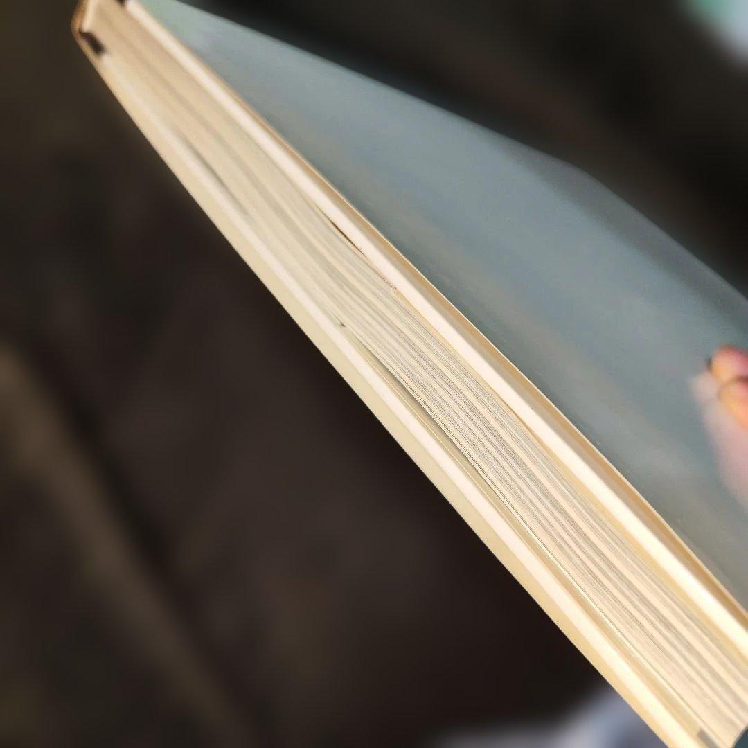 木曽森林鉄道　プレスアイゼンバーン