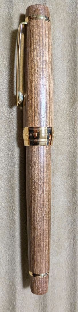 パイロット万年筆 カスタム 槐 中字(M)
