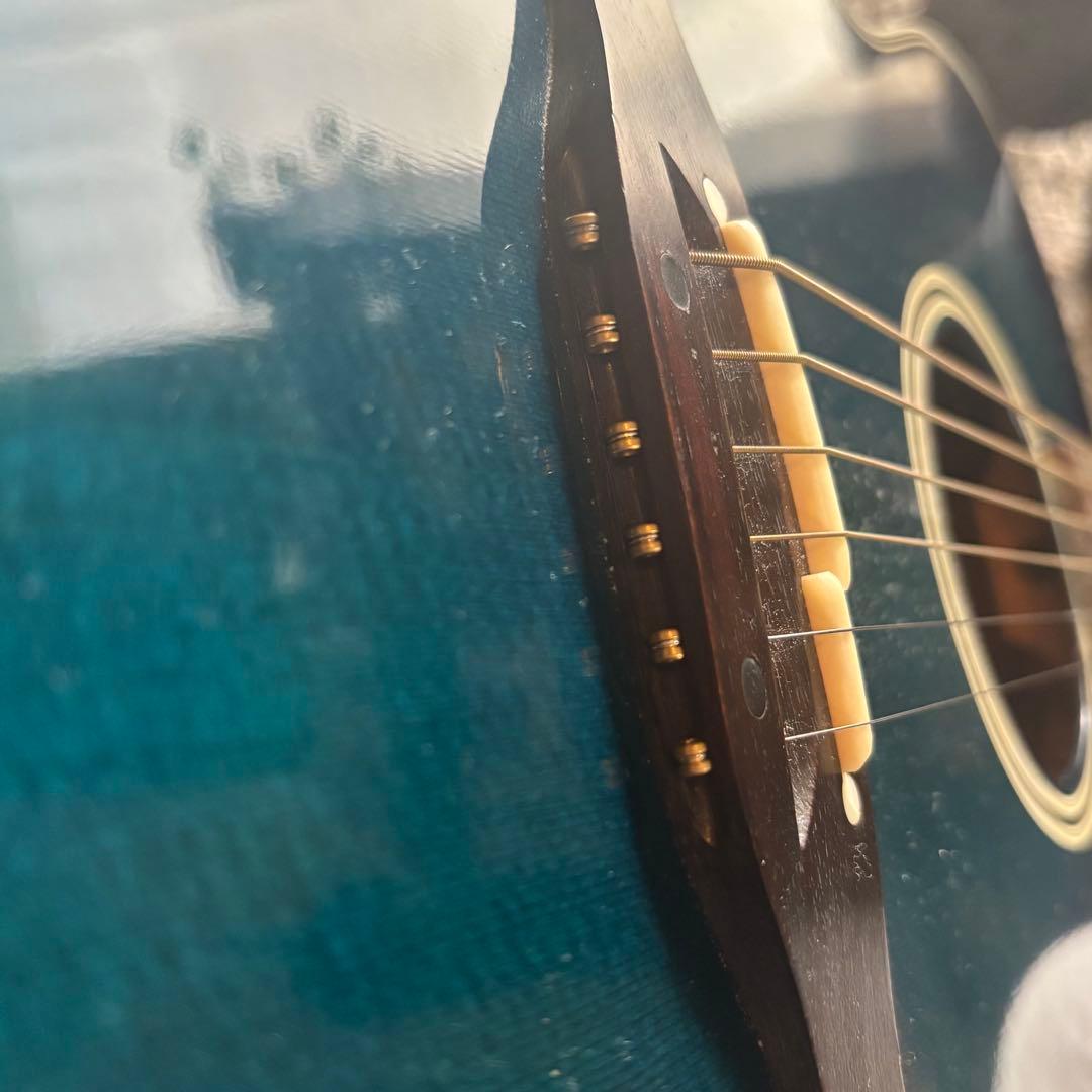 takamine 【PT-100】エレアコギター　ハードケース付き