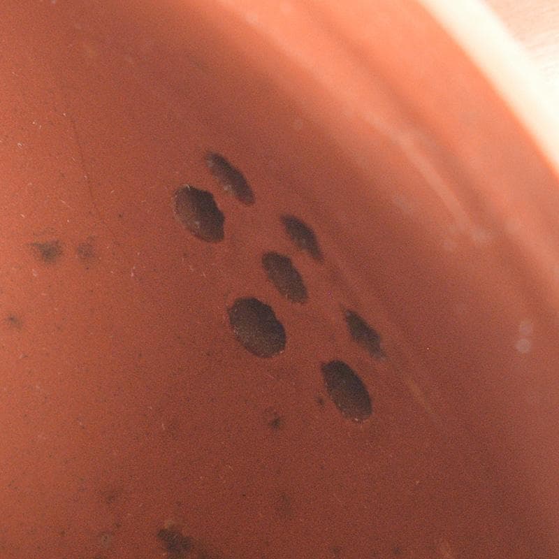 中国　紫砂　朱泥　急須　茶壷　在銘　V　R5672