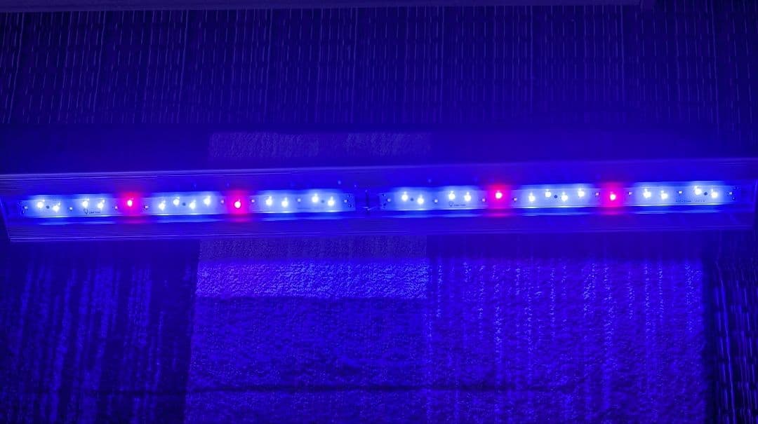 アクロ TRIANGLE LED MARINE 900 海水魚 サンゴ ライト