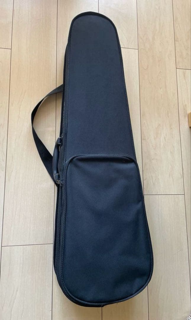 カルロ・ジョルダーノ　エレクトリックバイオリン EV-202