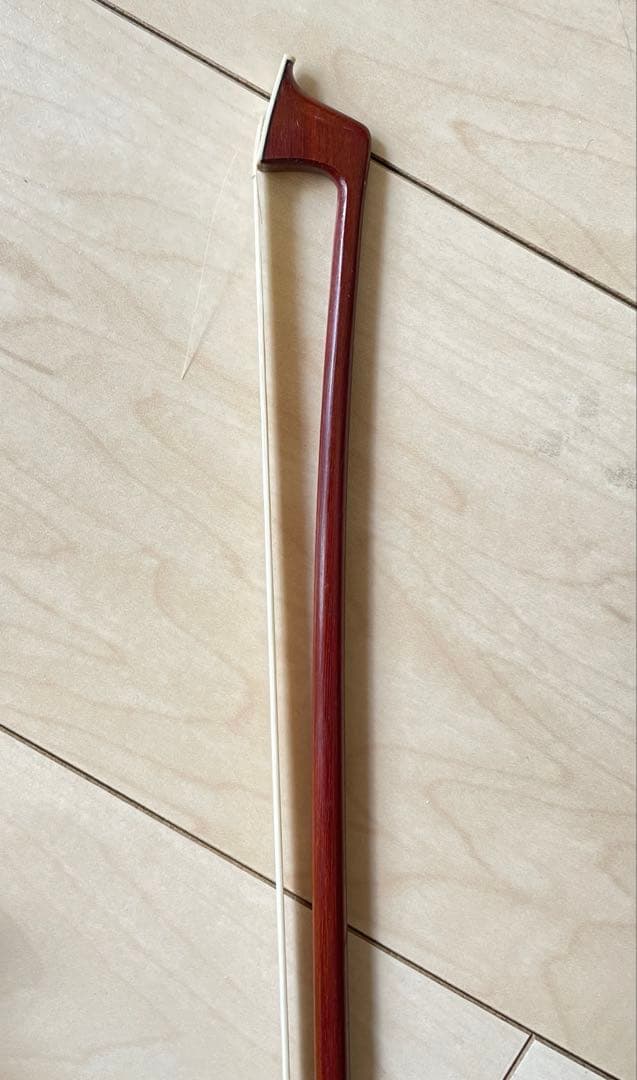 カルロ・ジョルダーノ　エレクトリックバイオリン EV-202