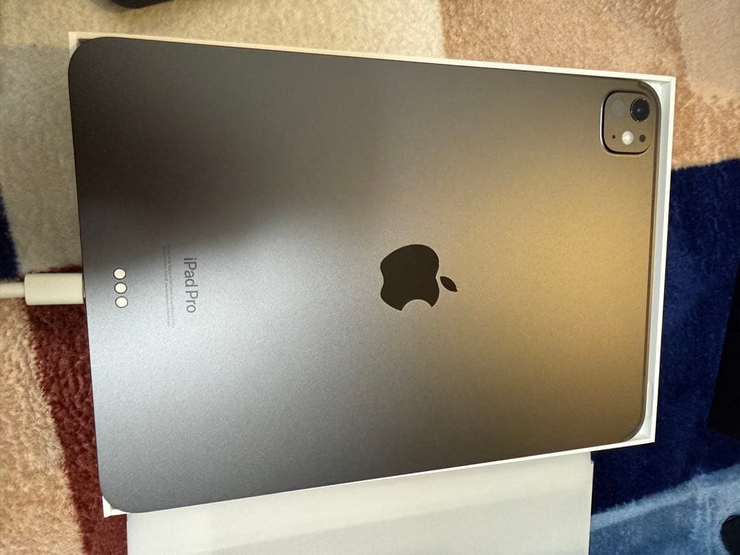 Apple iPad Pro 11インチ M4 スペースブラック おまけ付き