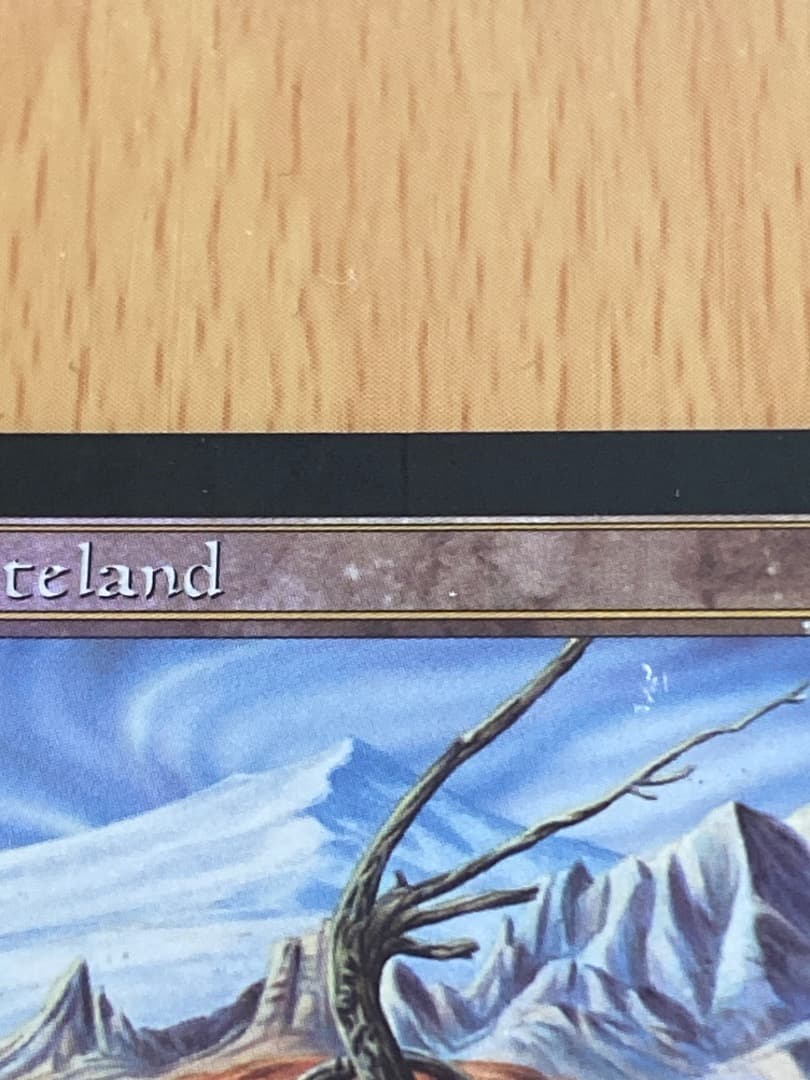 不毛の大地/Wasteland ジャッジ褒賞　FOIL その1