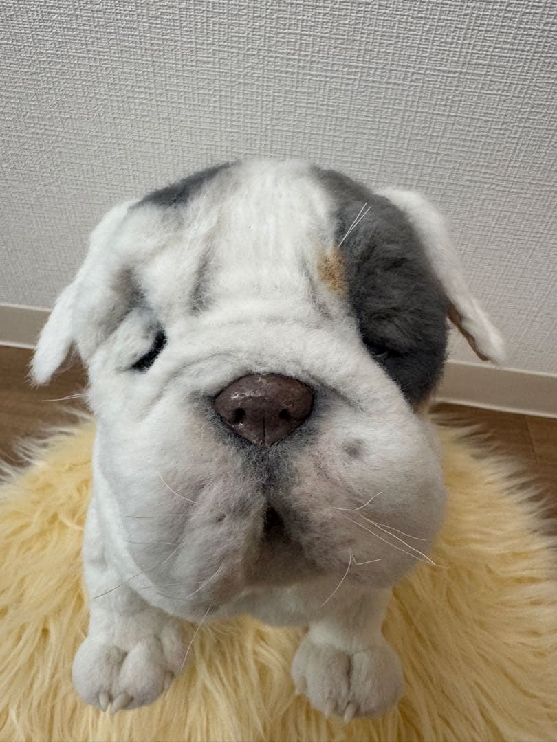 海外作家様作　ブルドッグの子供　アートドール