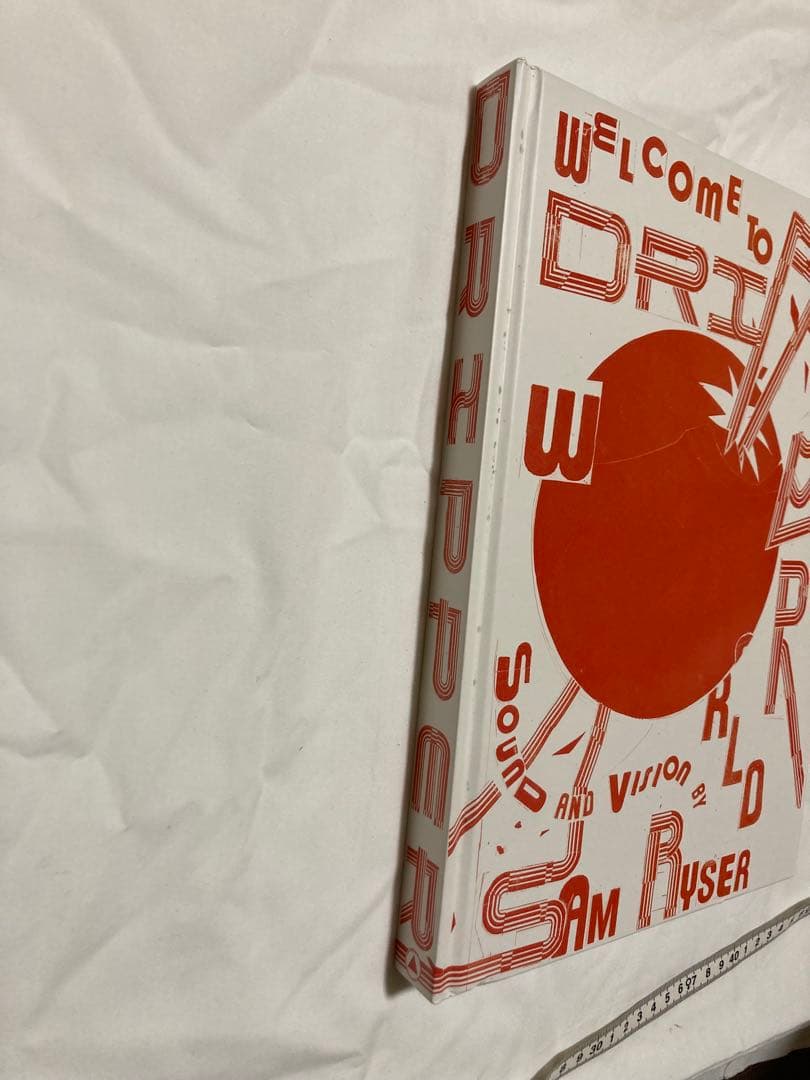 絵画 WELCOME TO DRIPPER WORLD by SAM RYSER