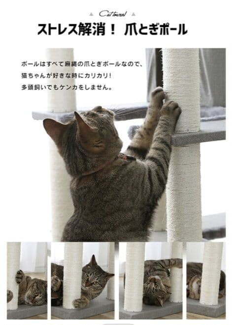 ちぃ 突っ張り型キャットタワー CCCT-4060T