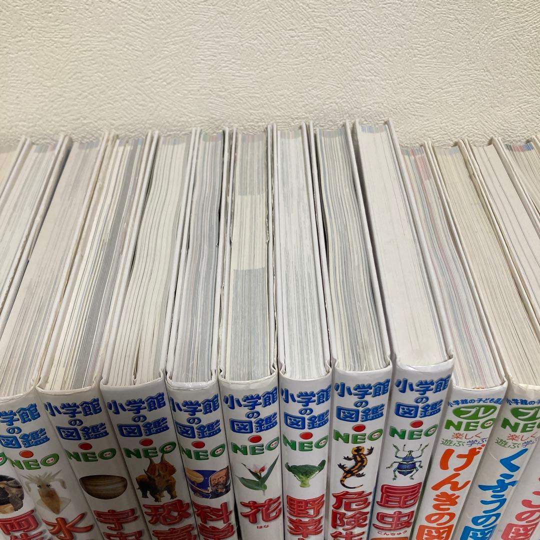 小学館の図鑑NEO 20冊セット 動物 魚 鳥 危険生物 野菜と果物くふうの図鑑