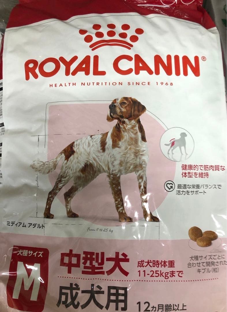 ロイヤルカナン　ミディアム アダルト
