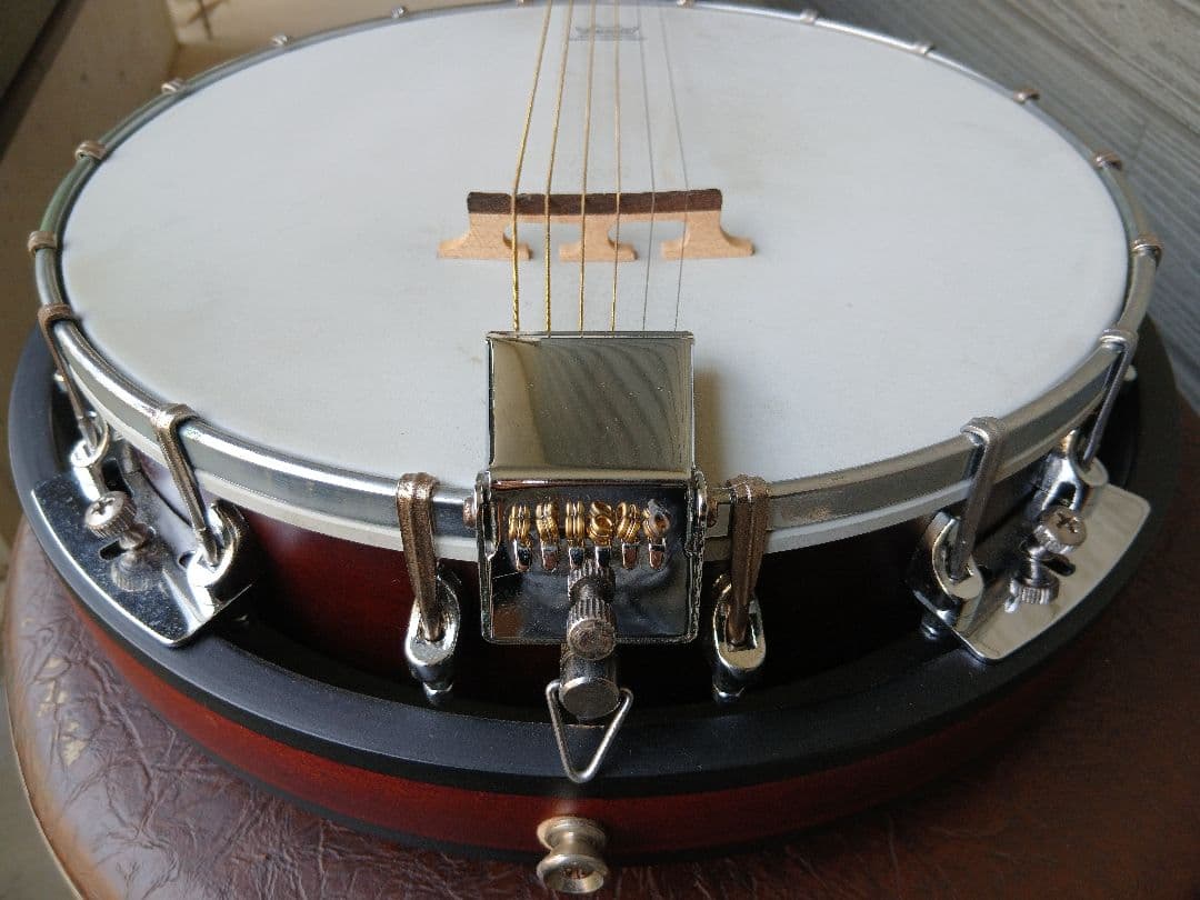 Blanton.BB15G.6Stringsバンジョー6弦(ハードケース付)