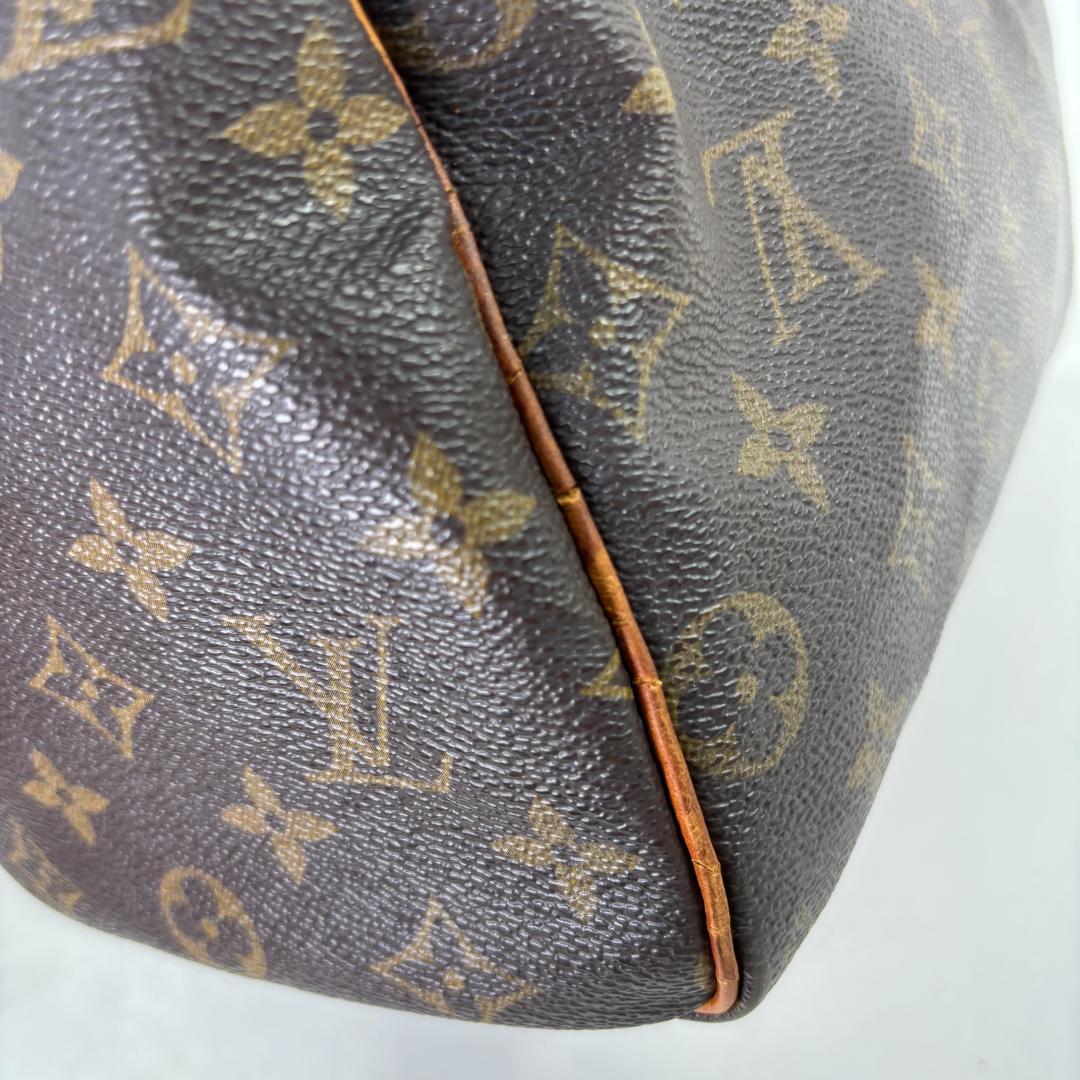 LOUIS VUITTON ヴィトン スピーディ25 モノグラム ハンドバッグ