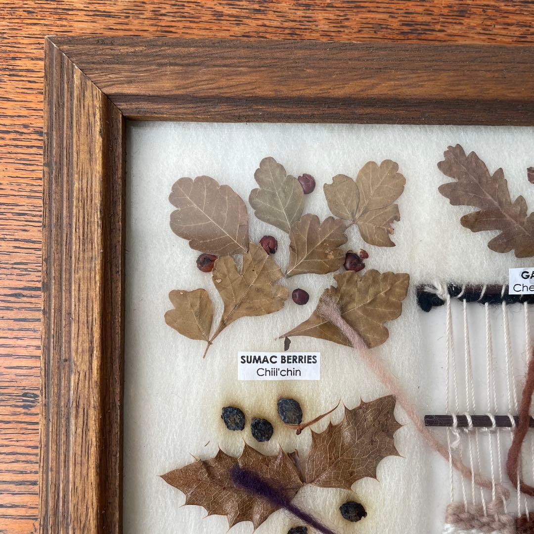 ネイティブアメリカン ナバホ族 草木染め 色見本 オルテガ 毛織物 額装 木製