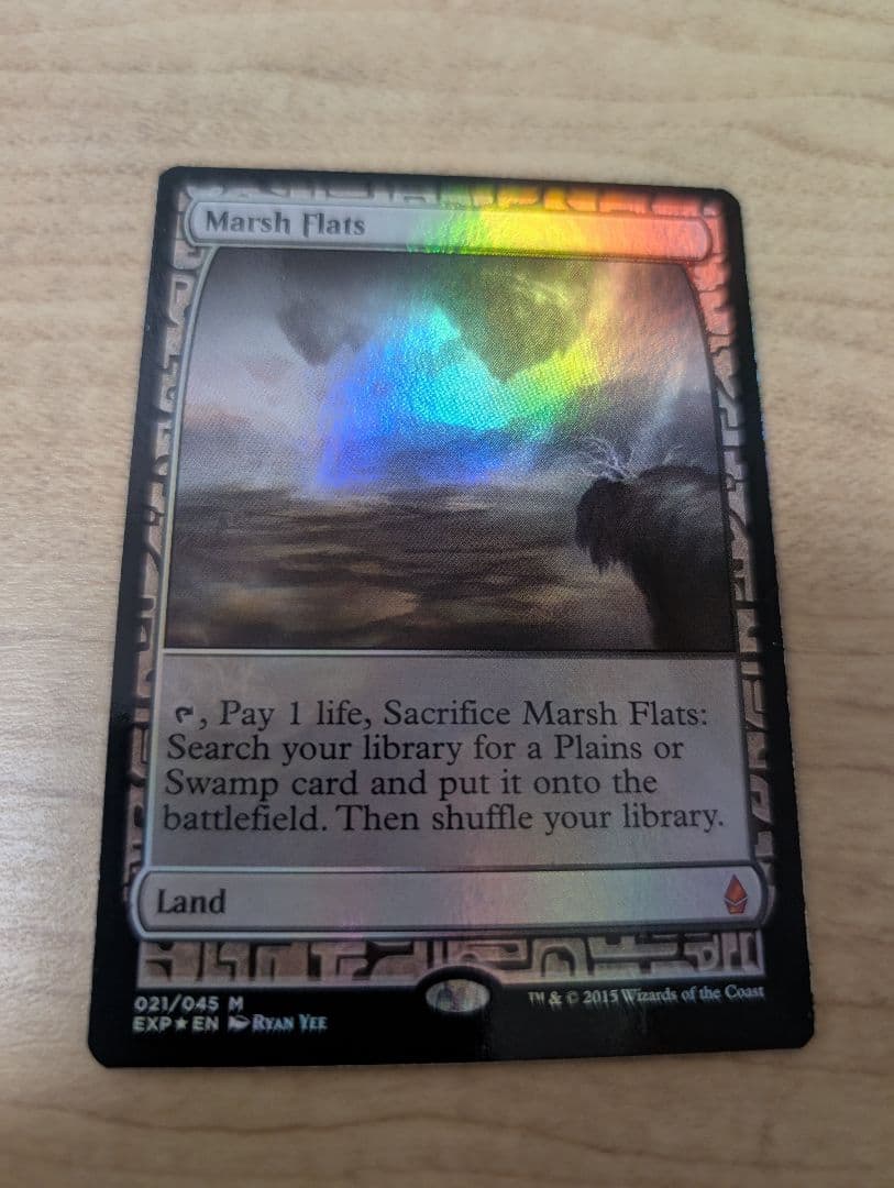 【10月末迄の価格】【湿地の干潟】【EXP】【foil】