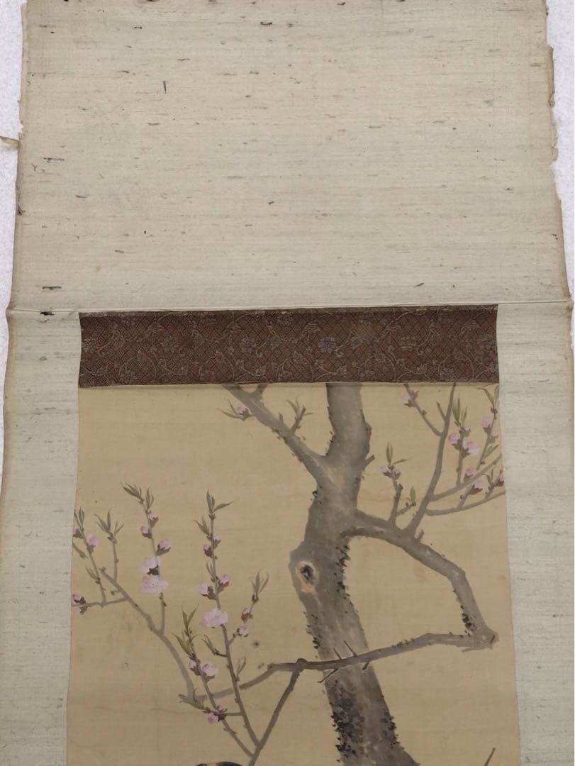 3-2866 掛軸　『庚子初秋写 應舉』　丸山応挙