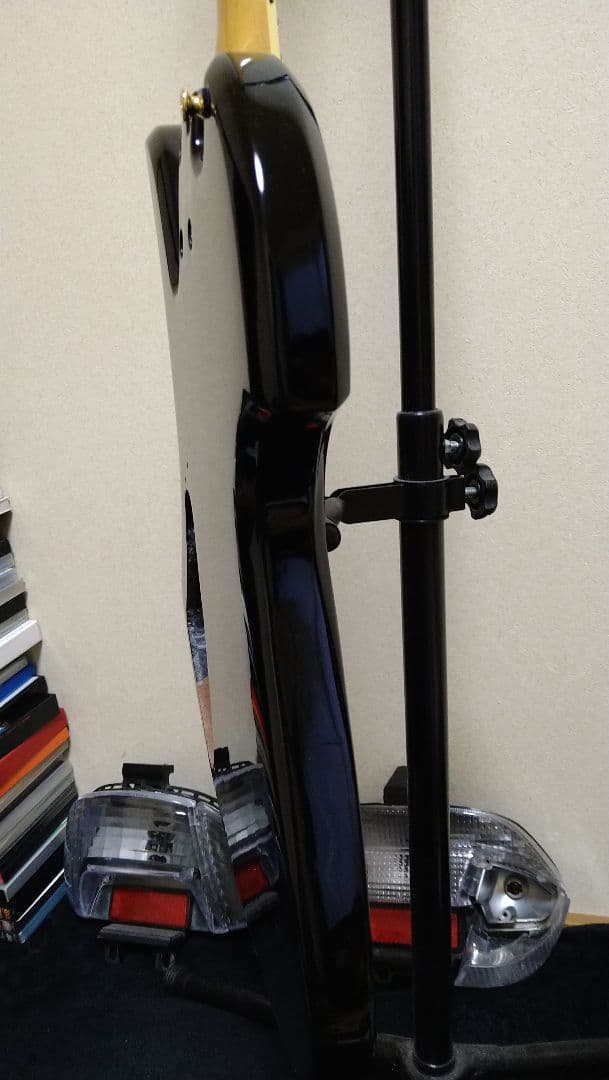 Burny　MG80x モッキンバード　hide モデル