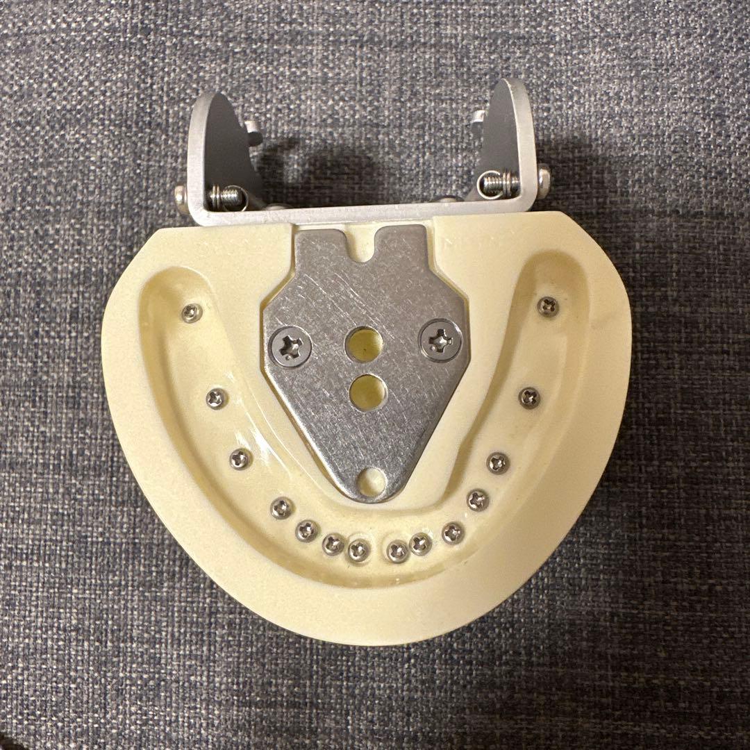 ニッシン　歯科模型　顎模型　歯科衛生士　NISSIN デンタルモデル