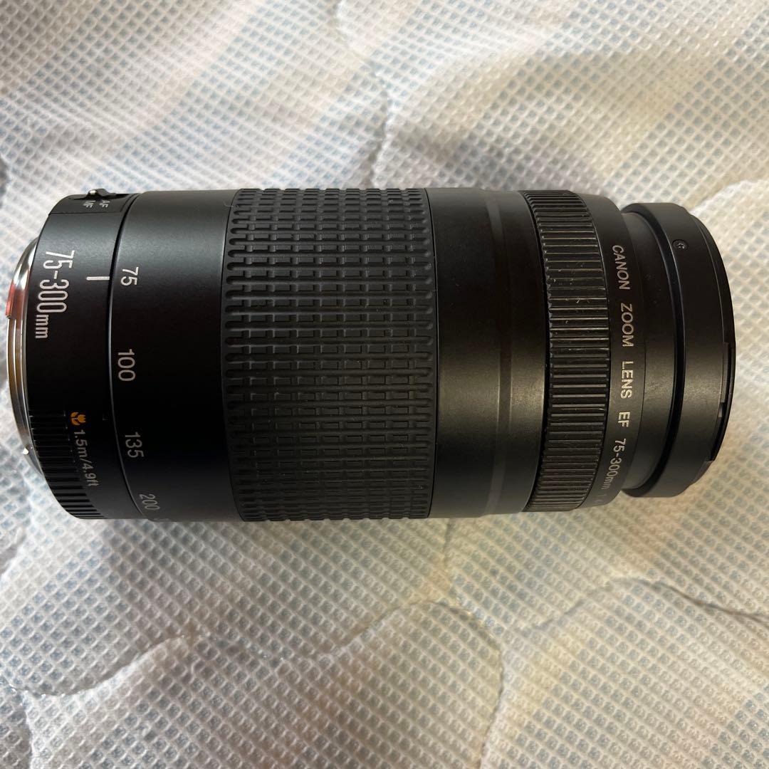 Canon EOS 一眼レフカメラ ズームレンズセット