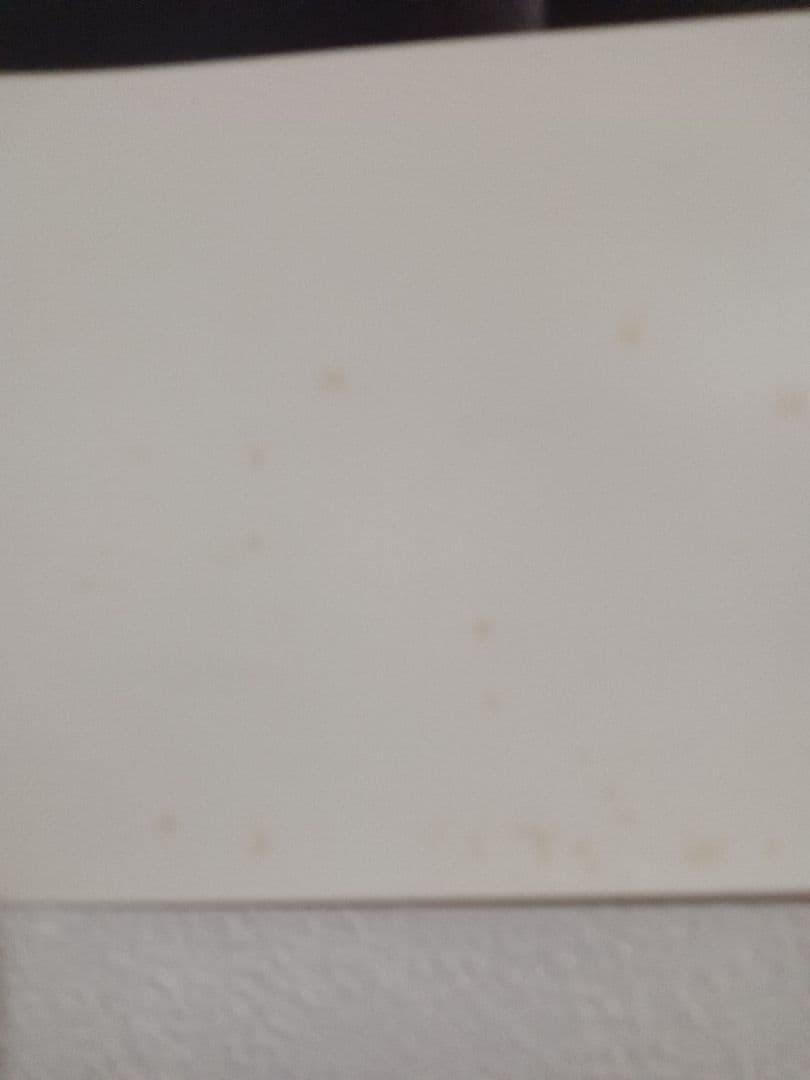 メ*0様 BOØWY「 LAST GIGS 」モノクロポスター