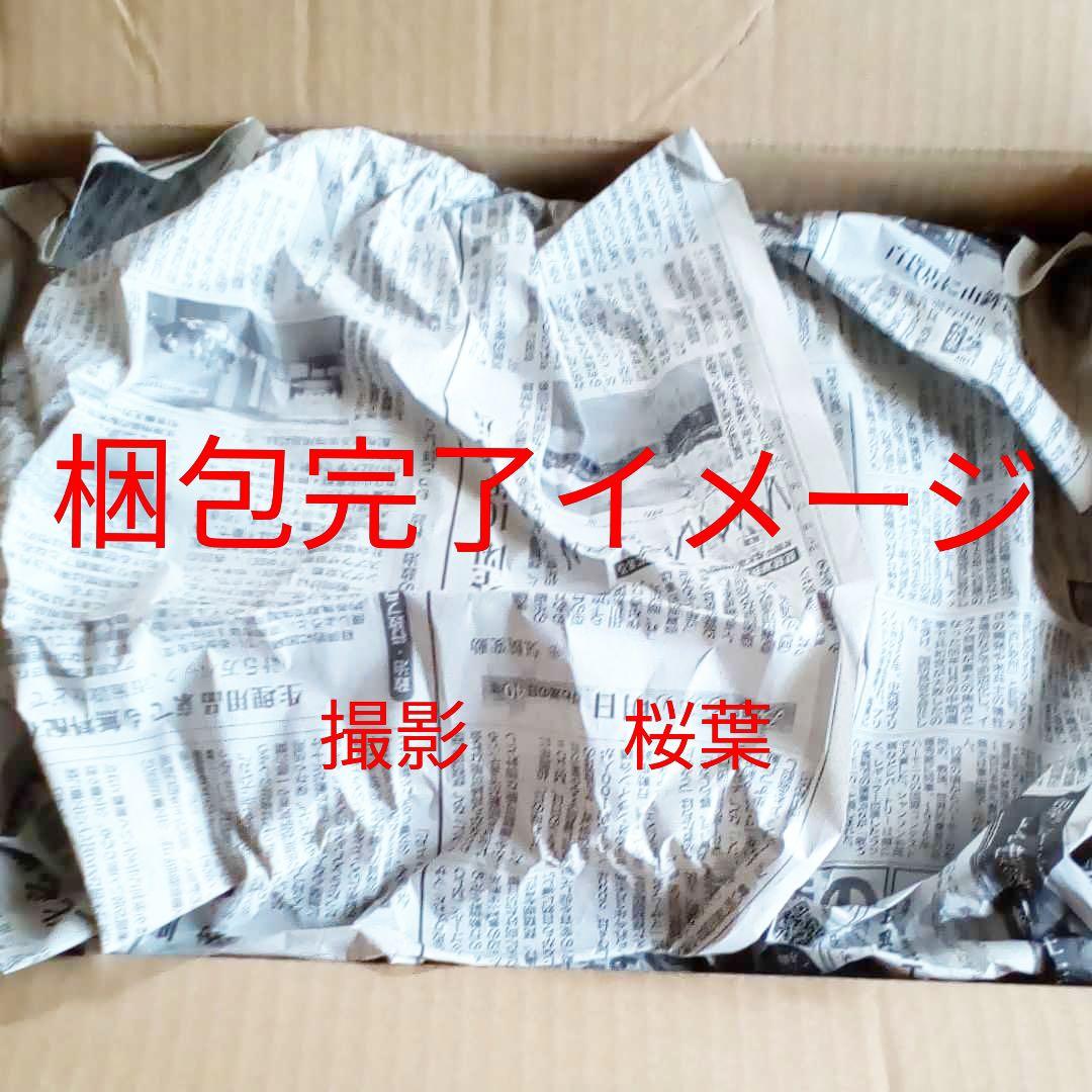 ガンプラ pg ユニコーンガンダム2号機 バンシィ・ノルン 最終決戦Ver.