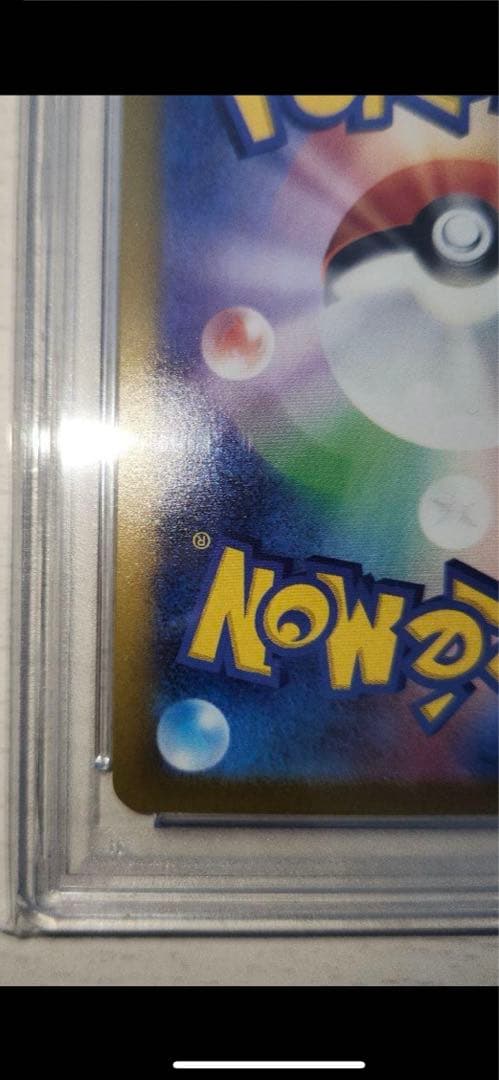 ブラッキーex SAR psa10 テラスタルフェス