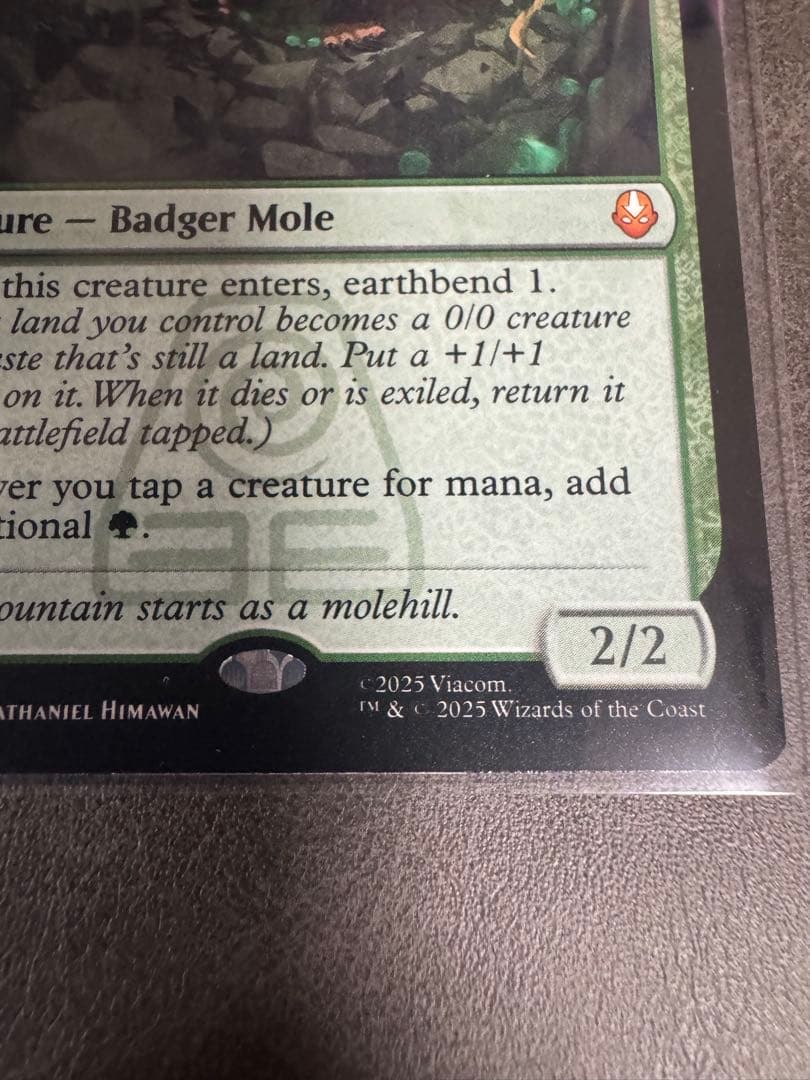 アナグマモグラの仔 Badgermole Cub マジック：ザ・ギャザリング