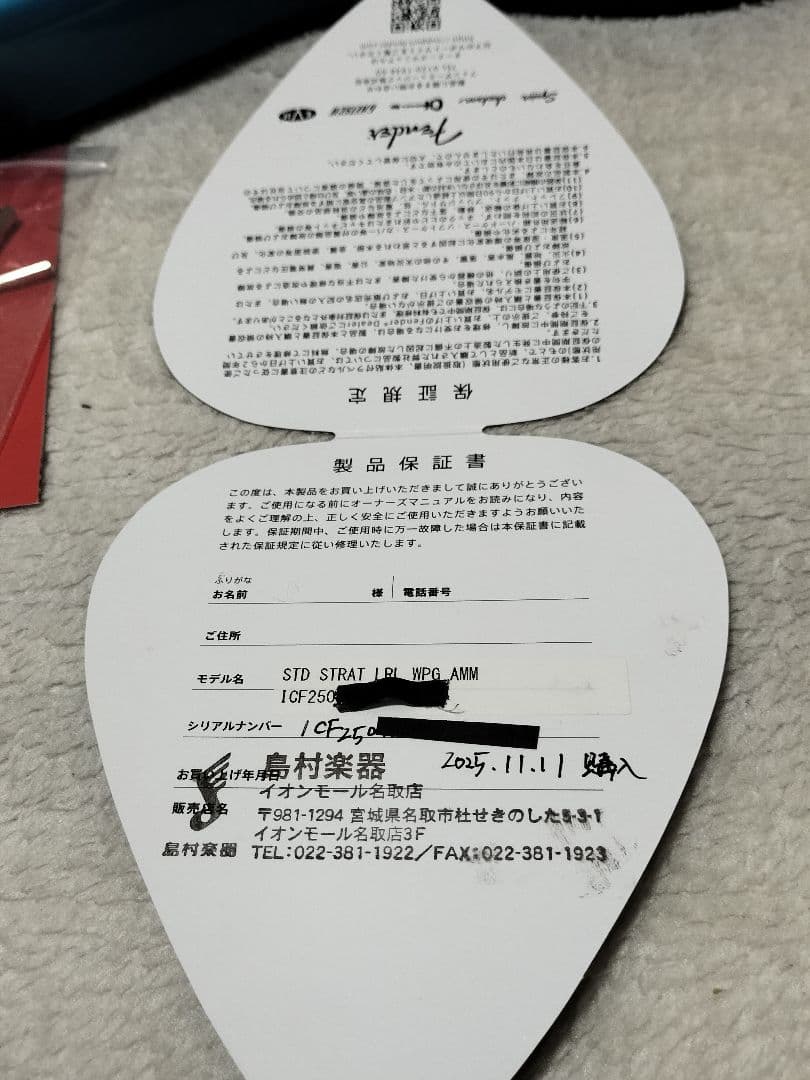 Fender Standard Stratocasterフェンダー ストラト 青