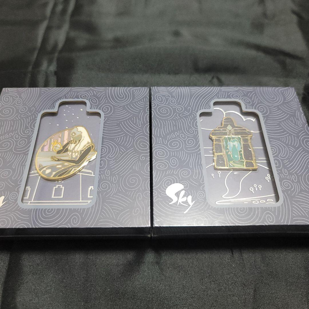 【新品・未携帯】sky　星を紡ぐ子どもたち　ピンバッジ2種セット（雨林）
