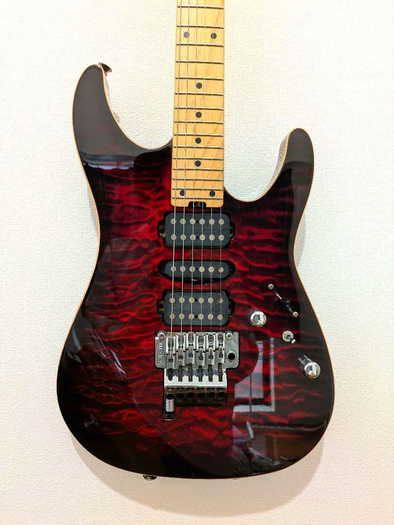 [美品] SCHECTER NV-DX-24-AS　D-tunaつき