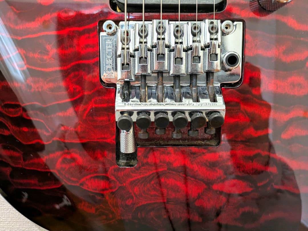 [美品] SCHECTER NV-DX-24-AS　D-tunaつき