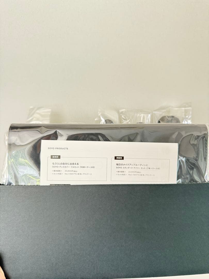 新品未使用SOYOブラシ10本➕ケースセット