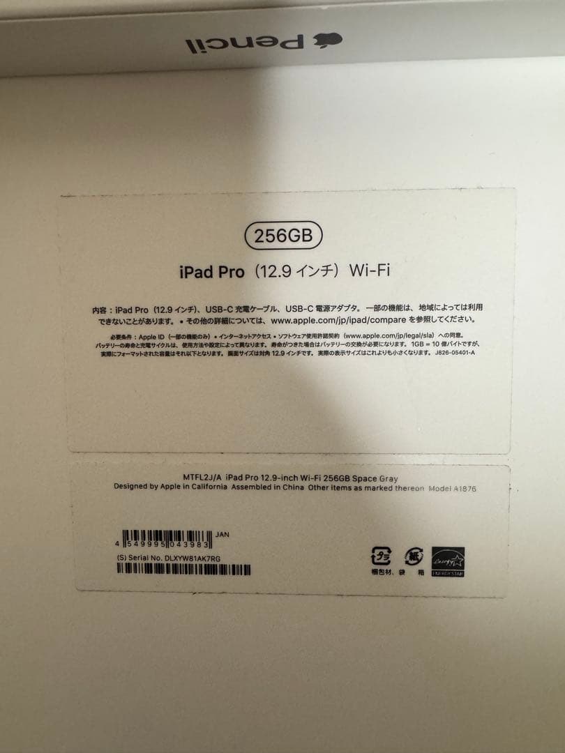 iPad本体 iPad Pro Apple Pencil