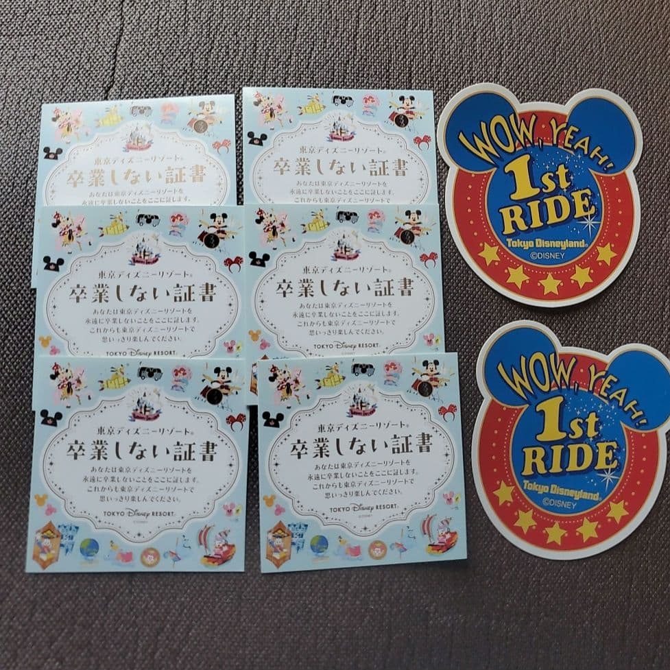 ディズニー ネームタグ