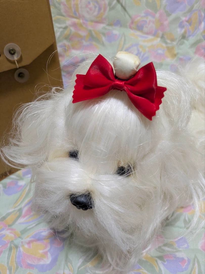 マルチーズ　わんちゃん　置物　ぬいぐるみ
