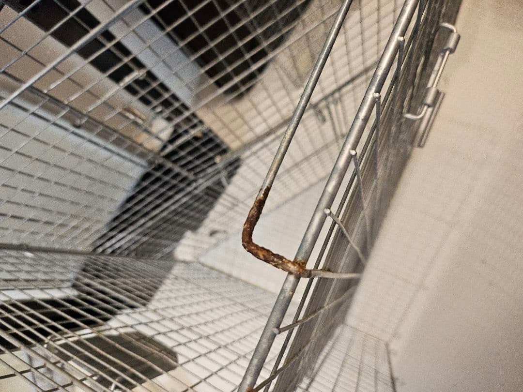 三晃商会 SANKO イージーホーム60 ハイメッシュ ブラック 60