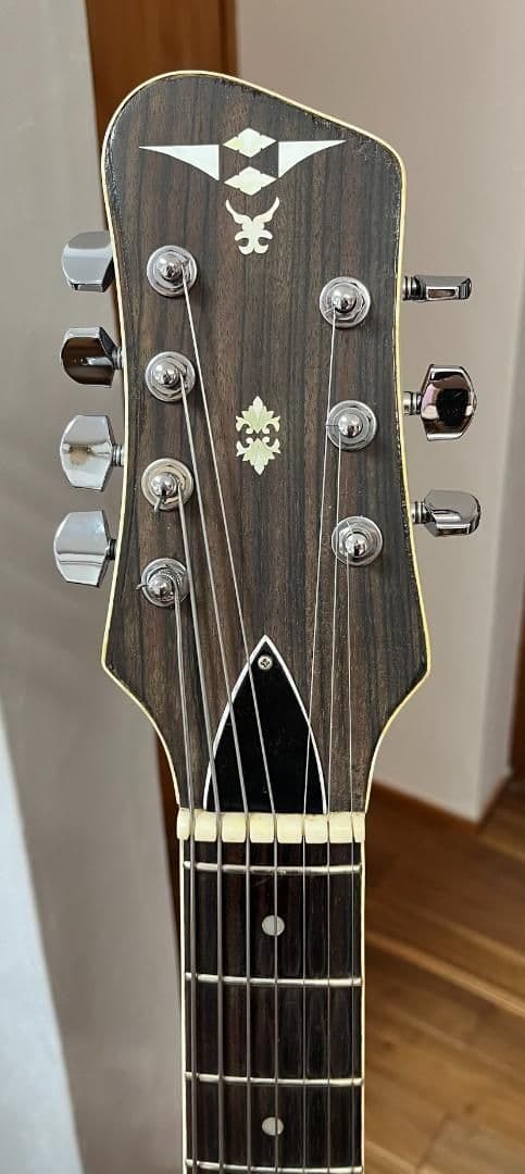 超貴重！貫禄のジャパンヴィンテージ！全音製ピックギター再生 7弦フルアコ