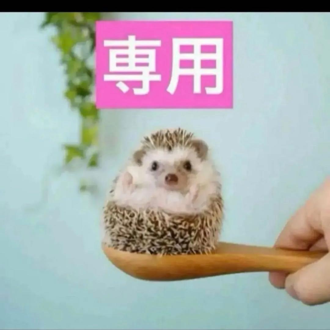 2点、コンシーラー2N、ヒアルショット