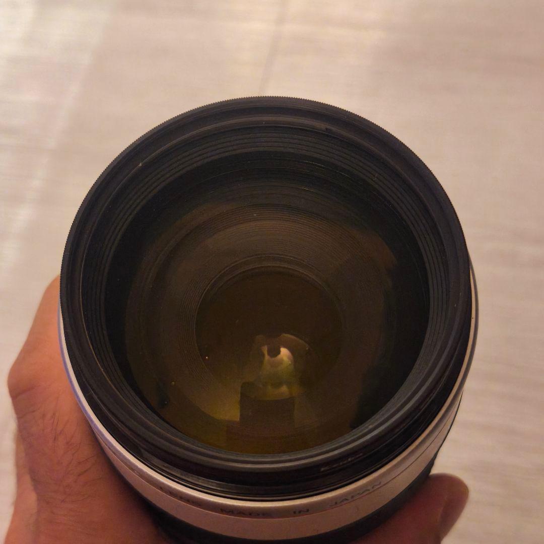 Canon ズーム LENS EF 100-400mm f4.5-5.6L