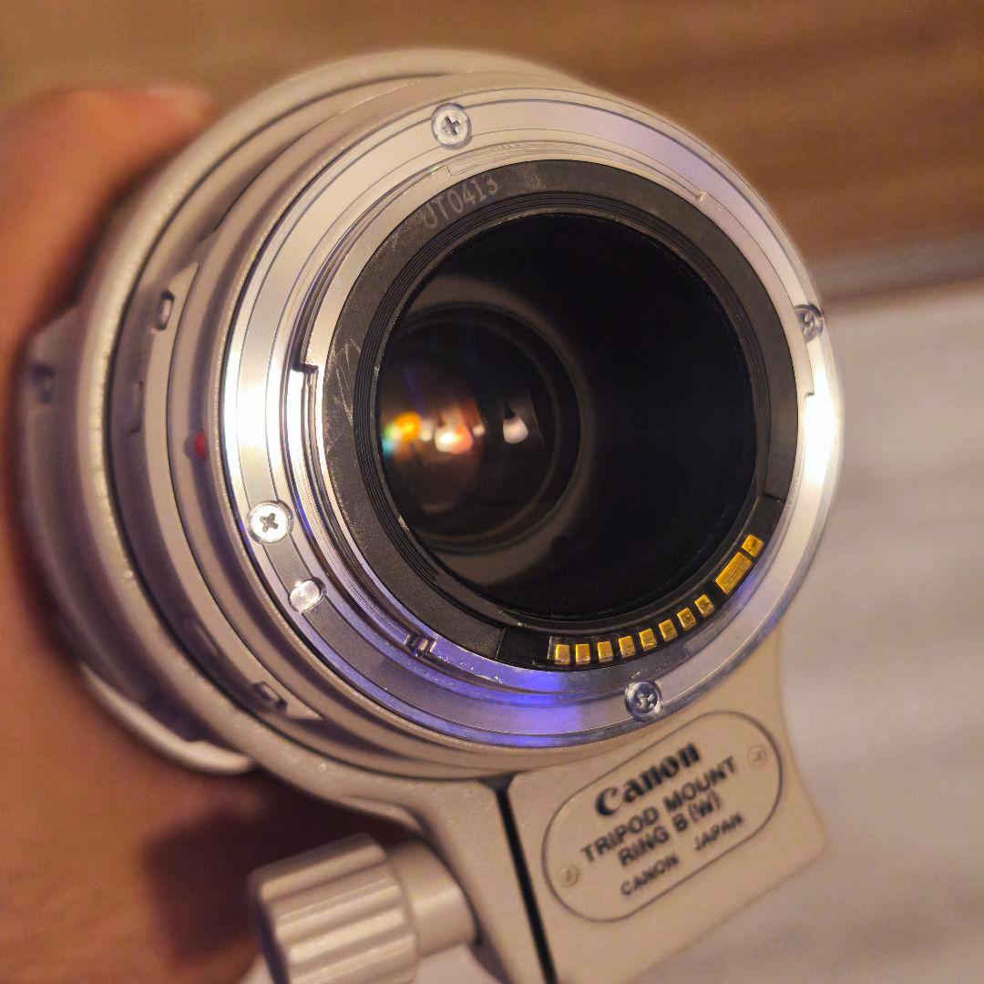 Canon ズーム LENS EF 100-400mm f4.5-5.6L