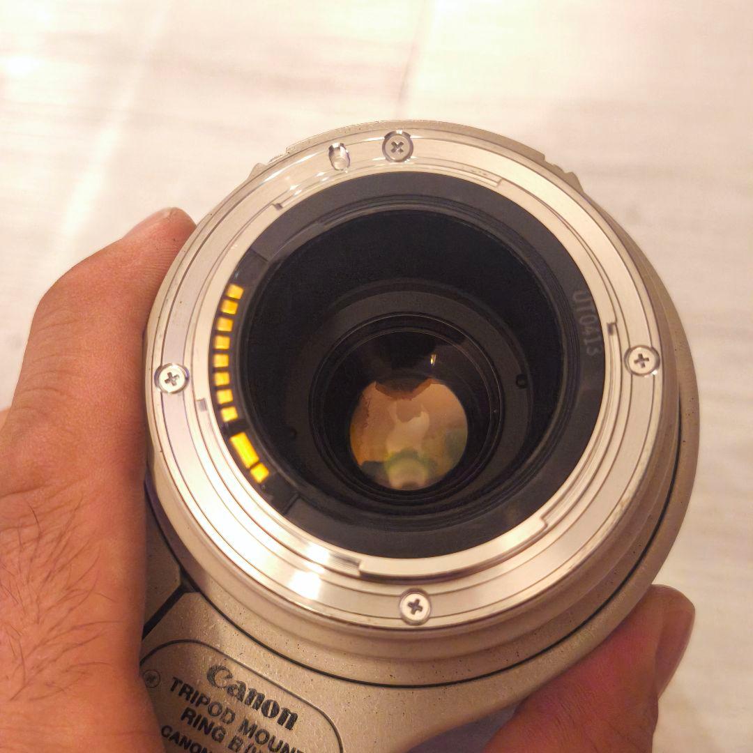 Canon ズーム LENS EF 100-400mm f4.5-5.6L