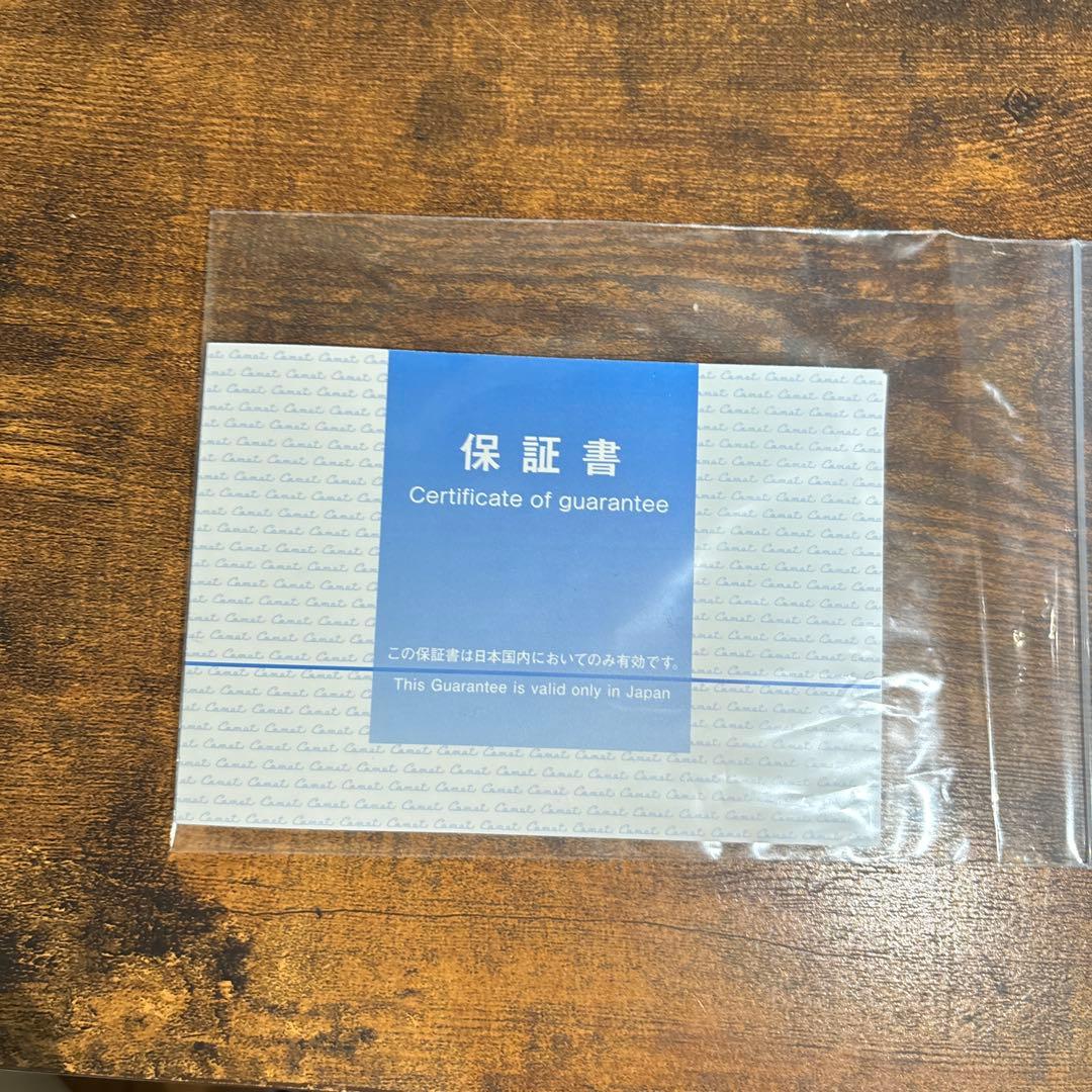 Lulucie SAQINA 美容器 LEDライト付き サキナ 保証書有り