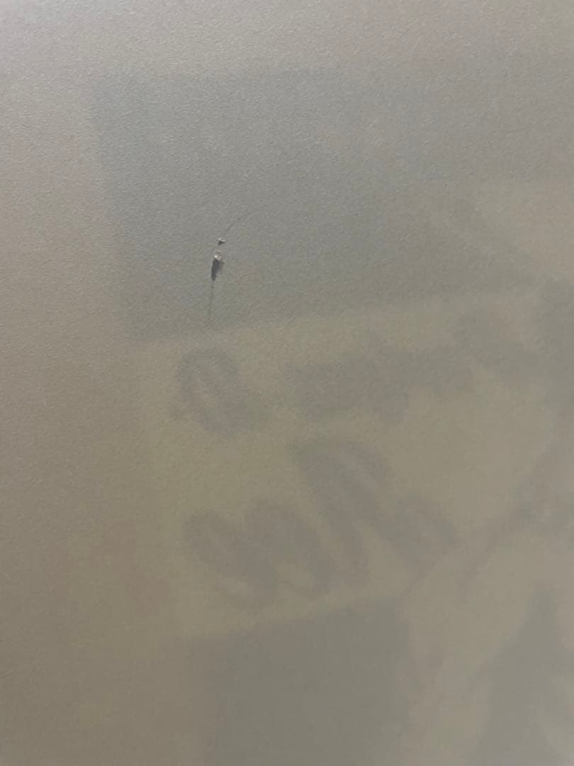 ONE PIECE ポートガス・D・エース 木版画