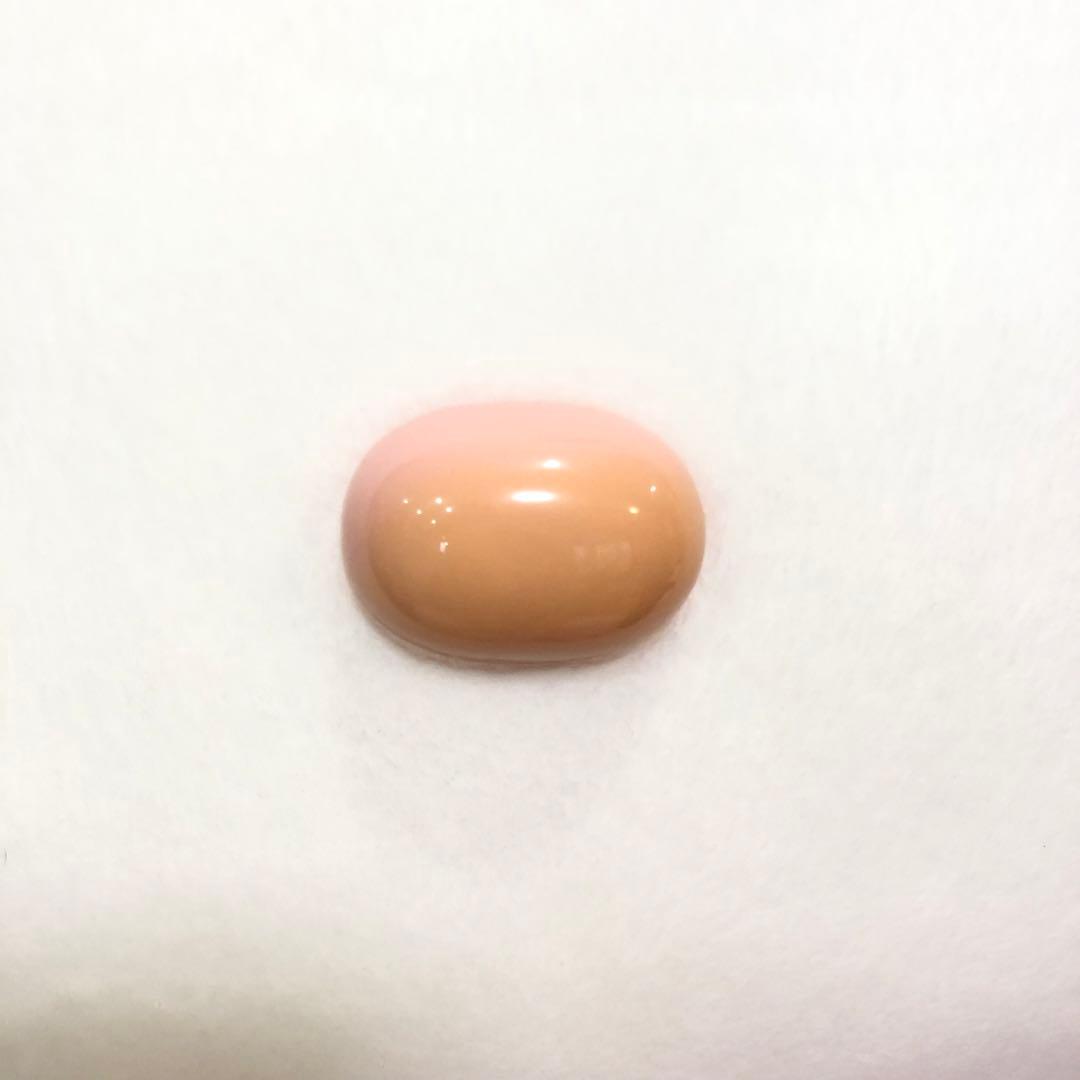 サンリオハローキティ Rady×キティコラボ特大ぬいぐるみ タグ付き