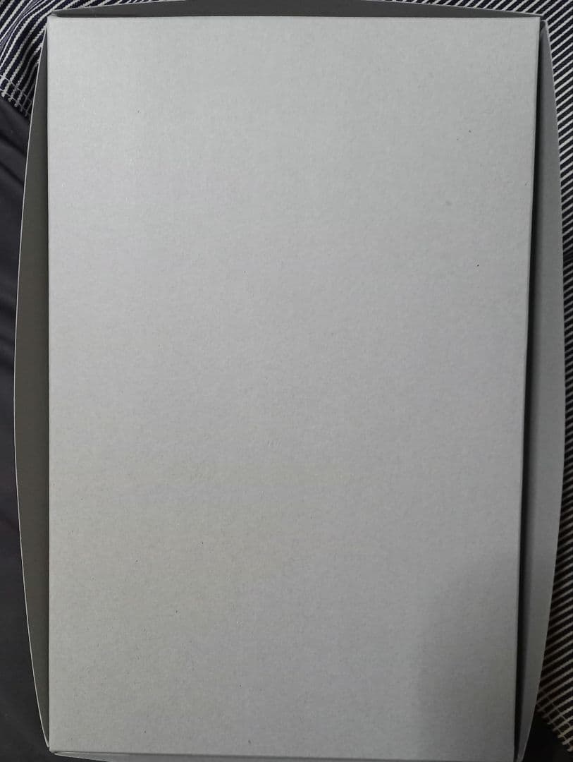 MG　ガンダムエックス　新品未開封