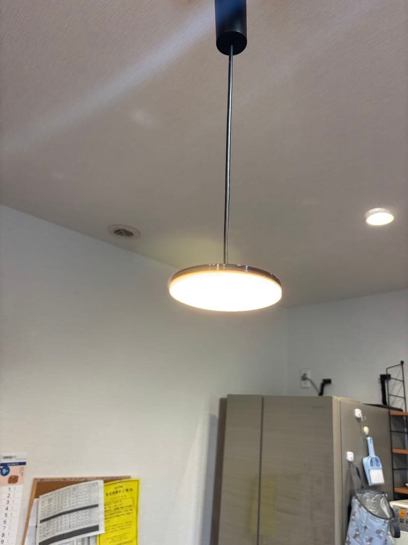 Panasonic ペンダントライト 2個セットr♡Grandma