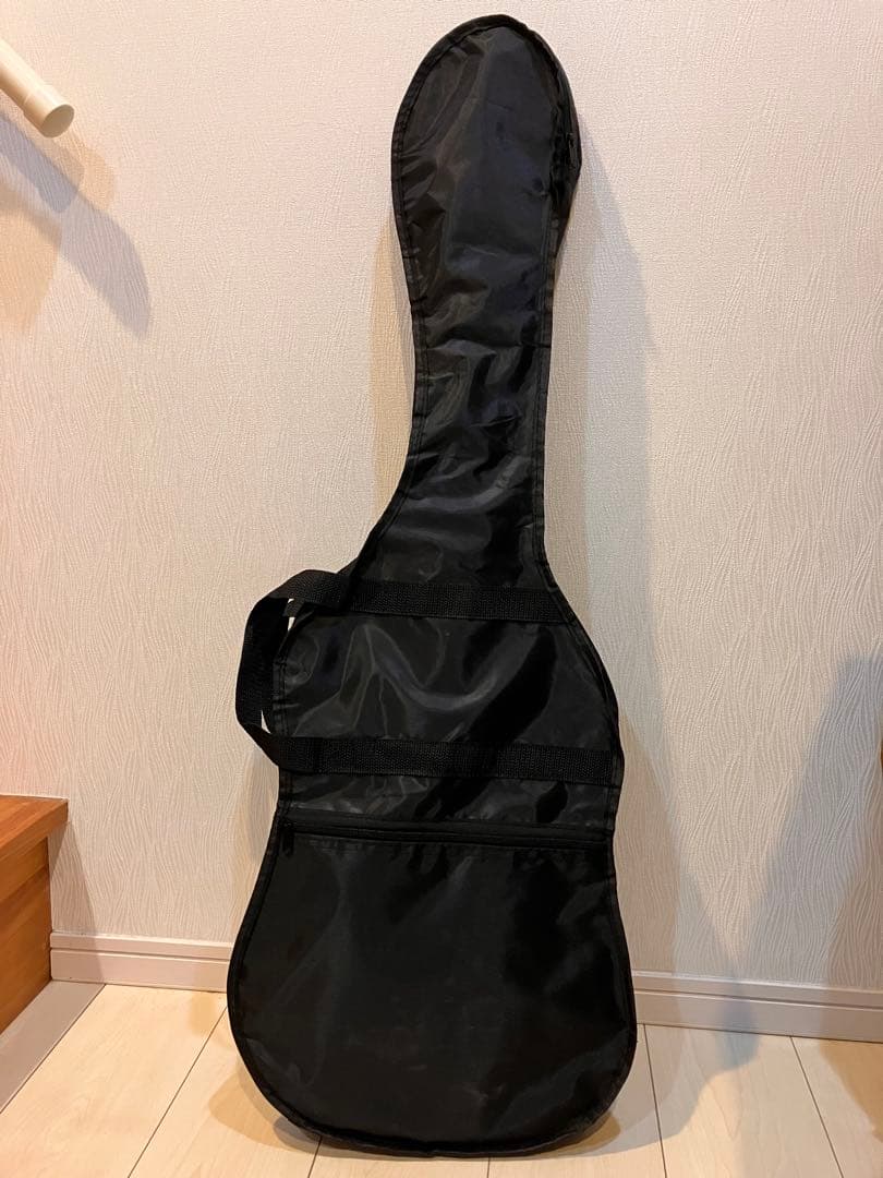 Bacchus（旧ロゴ） BST-250R エレキギター中古