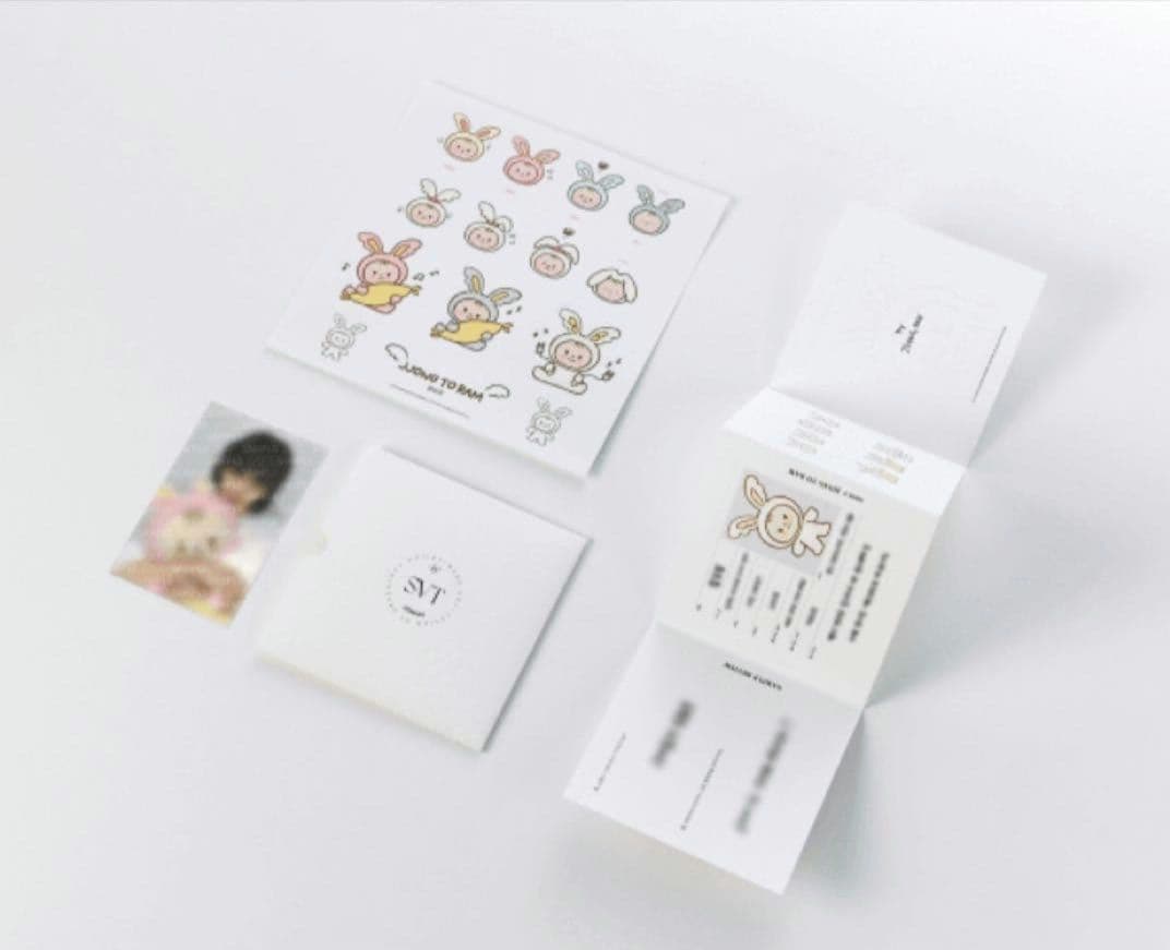 SEVENTEEN JEONGHAN トラム ぬいぐるみ アーティストメイド