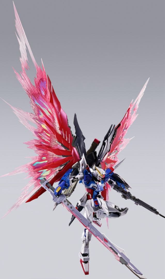 L BUILD 2024 ストライクフリーダム＆デスティニー & 光の翼